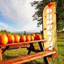 Thanksgiving Pumpkin Feather Flag 2.5ft x 12ft, Weatherproof Outdoor Garden Flag, Durable Polyester Fall Decoration for Outdoor Garden, Yard, Parties, Autumn Festivals