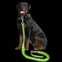 PetIsay Light up Dog Leash for Night Walking - USB C Rechargeable - Waterproof - Dog Leashes with Flashlight - LED Leash for Dogs - 6Ft, Green