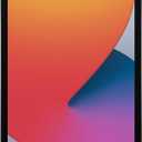 2020 Apple iPad (10.2-inch, Wi-Fi, 32GB) - Space Gray (8th Generation)