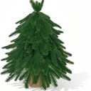 20IN Small Mini Christmas Tree for Tabletop, 1PC Artificial Desktop Christmas Tree with Norfolk Pine Top Design, Small Xmas Tree with Burlap Base for Table Desk Home Christmas Decor