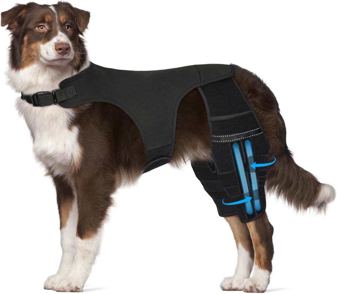 Dog Knee Brace for Torn Acl Hind Leg, 4 Stabilizers Dog Leg Braces for Back Leg, Adjustable Hip Support to Reduces Pain, Ligament Injuries, Luxating Patella L