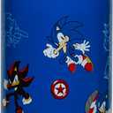 Zak Designs Sonic the Hedgehog Sage Kids Water Bottle For School or Travel, 19oz Stainless Steel Water Bottle With Straw, Handle, and Leak-Proof, Pop-Up Spout Cover (Sonic & Shadow)