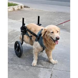 Adjustable Large Dog Wheelchair for Back Legs, Upgraded Wheel, Disabled Pets, Leg Brace, Mobility Aid for Large Pets, Hind Limb Rehabilitation, Older, Disabled (XL(Chest 28.3-33.9in))