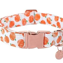 UP URARA PUP Halloween Dog Collar with Metal Buckle Gift Fall Dog Collar for Small Medium Large Girls or Boys Dogs Cute Pumpkin Cotton Pet Collars