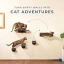 Space-Saving Cat Wall Shelves Interactive Cat Wall Climber with Hammock & Dog Proof Feeding Station for Small & Medium Indoor Breeds Solid Walnut Wood with Beige Carpet