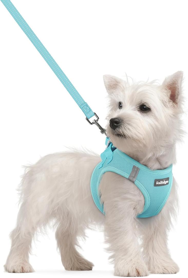 rabbitgoo Dog Harness Small Sized and Leash Set, Step in Soft Light Puppy Vest, Breathable Mesh Pet Harness, Reflective for Safe Easy Walking, Mint Blue Small (Chest: 15.1 - 16.5")