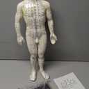 Male Acupuncture Model 20" with Chinese and English Points