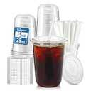 Homestockplus 25 Pack 15 oz BPA-Free Clear Plastic Cups with Lids and Straws â€“ Leak-Proof Disposable To-Go Cups for Iced Coffee, Smoothies, Juice, Daily Use & Small Gatherings