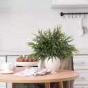 N&T NIETING 24inch Christmas Norfolk Pine Branches Norfolk Pine Artificial Christmas Branches Real Touch Faux Christmas Norfolk Pine Stems for Xmas Indoor Outdoor Home Decor DIY Crafts (10Pcs)