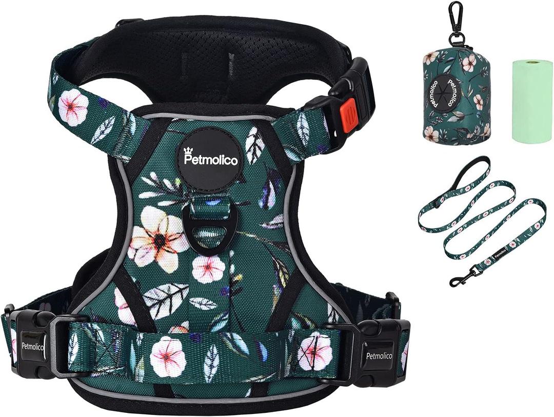 Petmolico No Pull Dog Harness Set with Leash Attachment Easy Control Handle Reflective Harness Vest Small Breed, Puppy Vest and Leash Set with Poop Bag Holder, Small - Green Rhododendron