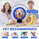 Inflatable Dog Cone Collar with Detachable Sturdy Shield,Soft&Lightweight-Ideal for Post-Surgery Recovery and Daily Wear,Suitable for Small Medium Large Dog Breeds(Blue,XL) (Blue, XL)
