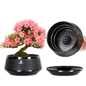 Meshpot 8 Inch Bonsai Pots with Drainage Tray, Set of 1, Plastic Imitate Ceramic Bonsai Tree Pot with Excellent Airflow, Large Succulent Pots for Indoor Plants, Juniper, Ficus, Chinese Elm, Cactus