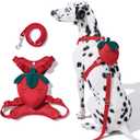 VETRESKA Strawberry Dog Harness and Leash Set, No Pull Dog Vest Harness for Medium Large Dogs, Walking and Training, Adjustable, Easy Control and Soft Padded Pet Harness and Backpack (M)