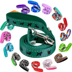 EcoBark Dog Leash - Soft & Reflective Comfort Leash with Padded Handle - Strong Durable Heavy Duty - Training and Pulling for Small, Medium or Large Dogs (Forest Green) (4 ft x 1 in - Standard Width)