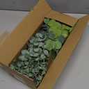 Eucalyptus Leaves Stems 60 PCS, 4 Kinds Mixed Artificial Greenery Stems for Wedding Decor Vase Floral Arrangement Centerpiece