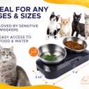 Cat Food Bowl - KATSUPREME Cat Bowls for Indoor Cats | Set of 2 Stainless Steel Bowl, Tilted Bowls Elevated Anti Vomiting, Non-Slip Base, Ant Proof Food & Water.