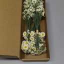 Floroom 24pcs Ivory Small Artificial Flowers Faux Silk Daisies Fake Wildflowers with Stems for DIY White Wedding Bouquets Floral Arrangements Party Decor Centerpieces Decorations (Vase Not Included)