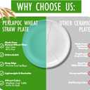 Wheat Straw Plates, 10 in Deep Dinner Plates Set of 6, Unbreakable Reusable Plastic Plates, Unbreakable Microwave and Dishwasher Safe Kids Plate for Kitchen, Camping, Multi