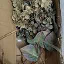 Purple Artificial Hydrangea Flowers 18.8 Inch Long with 6 Inch Full Realistic Bloom  Lifelike Silk Faux Hydrangea Stems for Wedding Bouquet, Table Centerpieces, Party Decor, Home Indoor Decoration