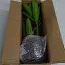 Faux Plants Dracaena Artificial Plant Realistic Green 16.1" Fake Plants in Pot Small Indoor Plants Fake Potted Plants Artificial Decor for Home Living Room Bathroom Office House Table Desk Shelf