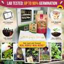 55 Vegetable Seeds Variety Pack - 35,600+ Non-GMO Heirloom Seeds for Planting Vegetables and Fruits in Individual Seed Packets, Home Garden Seeds for Hydroponic, Indoor and Outdoors Gardening (EXP 08/18/26)