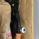 JOYSTAR Kids Bike for Ages 2-12 Years Old Boys Girls, 12-20 Inch BMX Style Kid's Bikes with Training Wheels, Children Bicycle for Kids and Toddler, Multiple Colors