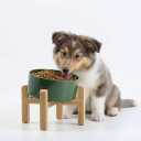 Petygooing Elevated/Raised 15Slanted Ceramic Dog Bowl for Small and Medium Breeds, Tilted Anti Slip Pet Feeding Bowl,Food Water Dish with Stand for Cats and Dogs (28 OZ/3.6 Cups) Rust Green