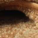 FlyDOIT Area Rugs for Bedroom Living Room, 4x6 Orange Super Soft Comfy Thickened Memory-Foam Indoor Carpets, Modern Aesthetic Minimalist Carpet for Boys Girls Adults Apartment Nursery Home Dcor