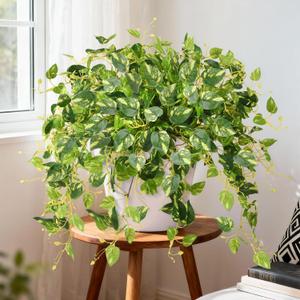 INQCMY Artificial Fake Hanging Plants Philodendro for Outdoors Spring Decoration, 3Pcs Faux Pothos Vines Realistic Greenery UV Resistant for Home Office Bedroom Bathroom Living Room Indoor