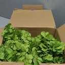 AVIVIHO 65 PCS Green Hydrangea Artificial Flowers Bulk Realistic Fake Hydrangeas Silk Flowers with Stems for Home Weddings,Centerpieces,Party Arch Backdrop Decor DIY Florals Decorations