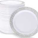 supernal 100pcs Silver Plastic Plates10.25 For Big Party Lace White Plastic Plates with Silver Rim Disposable Dinner Plates Heavy Duty for Party Wedding Birthday