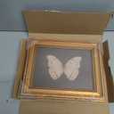 Gold Framed Wall Art Vintage Butterfly Canvas Wall Art White Butterfly Moody Insect Artwork Prints Picture for Living Room Bedroom Farmhouse Bathroom Office Decor, 8x10