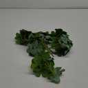 BESTOYARD 3 Bunches Artificial Shamrock Plant Bunches Versatile Greenery Decor for Home Office and Party Arrangements No Water Needed Faux Shamrock Picks for Patrick Day and Everyday Use
