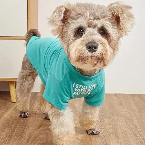 Cute Dog Clothes, T Shirt for Medium and Small Dogs Girl Boy,Puppy.Breathable Soft Dog Costume for Pet Dogs Cats, Pet Pullover Jumper, Cat Clothes (S-(4~8lb), Chest~14",Aqua)
