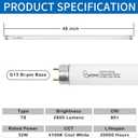 48 Inch F32T8/841 T8 32W Fluorescent Light Bulb, 4100K Cool White, 2800 Lumens, G13 Bi-Pin Base, 4FT T8 Fluorescent Tube Light Bulbs - 5 Pack