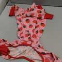 Dog Recovery Suit After Surgery Female Male, Medium Large Dog Neuter Shirt Cone Alternatives Prevent Licking Surgical Onesies (Strawberry, 2XL)