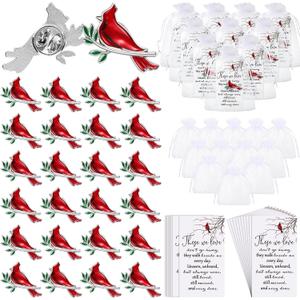 Jexine 240 Pcs Cardinal Pin Sets Funeral Favors Bulk Celebration of Life Favors Include 80 Cardinal Pins, 80 Memorial Cards, 80 Gift Bags Those We Love Do Not Go Away Funeral Gifts for Guests(Classic)