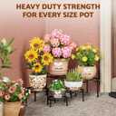 5-Pack Metal Plant Table Stand for 7-12 Inch Trays, Heavy Duty Flower Pot Stands for Multiple Plant, Anti-Rust Iron Plant Pot Shelf, Decorative Plant Racks for Indoor & Outdoor(BlackS)