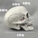 CUNHUYSmall Skulls Halloween Decor, 5 Inch Plastic Fake Skeletons, Mini Skulls for Crafts Outdoor Halloween Decorations, Realistic Miniature Human Skull Heads (4)
