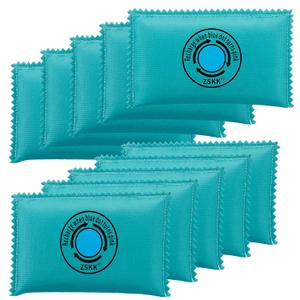 100g Rechargeable Desiccant Pack of 10, Silica Gel Desiccant Packets, Moisture Absorbers for Storage Bins, Suitcase, Gun Safe, 3D Filaments, Electronics, Desiccant Dehumidifier for Closets, Cars (Blue)