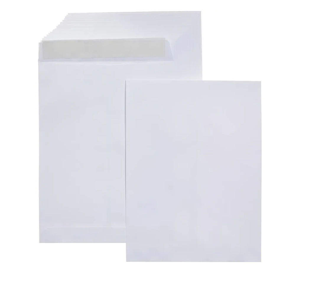 Amazon Basics Catalog Mailing Envelopes, Peel and Seal, 9x12 Inch, 100-Pack, White