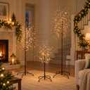 VIVATREES 3ft & 5ft & 6ft Twinkling Twig Trees Set, with Warm White Lights, Indoor Outdoor Christmas & Wedding Decor(3 Sizes Pack)