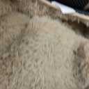 9x12 Area Rugs for Living Room Fluffy Neutral Beige,Modern Plush Non-Slip Soft Bedroom Shag Carpet for Book Room Office,Coffee Stain Resistant