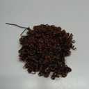 SuyiIRL Afro Puff Drawstring Ponytail with Faux Bangs Blonde Ponytail Extension Short Curly Hair Extensions Updo Hairpieces Ponytail Extension for Black Women Natural Hair Ponytail (T2/33)