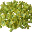 50 PCS Hand - Painted Yellow Green Pakalana 02 Clay Beads for Jewelry Making DIY Craft Supplies