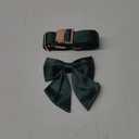 Lionet Paws Bowtie Dog Collar - Comfortable Silk Dog Collar with Detachable Bow Tie for XLarge Dogs, Neck 16-26 Inches (Black Green)