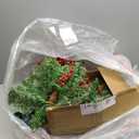 Best Choice Products Set of 2 24.5in Outdoor Pathway Christmas Trees, Battery Operated Pre-Lit Holiday Dcor w/LED Lights, Red Berries, Pine Cones