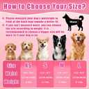 Female Dog Diapers, Disposable Dog Diapers, 50 Count, X-Small, Super Absorbent Leak-Proof Diapers for Dogs in He, Excitable Urination, or Incontinence