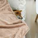 Onarway Dog Blanket Washable for Puppy: 4 Packs Dog Blankets 40x28 - Fluffy Soft Small Throw for Cat Puppy Kitten Dogs - Fleece Pet Blankets for Bed Sofa Car and Indoor - Grey and Khaki