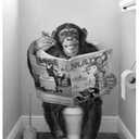 Chimpanzee on Toilet Canvas Print with Magnetic Hanger Frame  Funny Bathroom Wall Art, Bathroom Canvas Prints